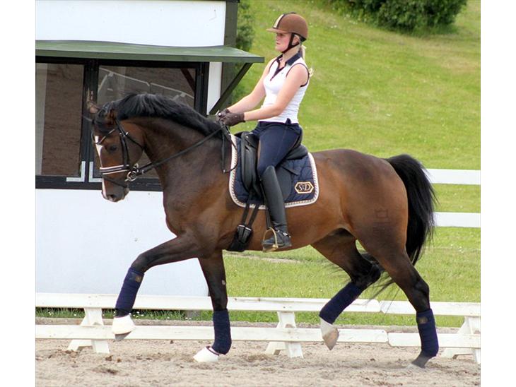 {{currentPhoto.altText}} billede {{currentPhoto.number}}