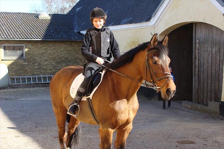Stævne på Rankegården - R.I.P Special, du havde ikke fortjent at du på den redselsfulde måde:'(( billede 1