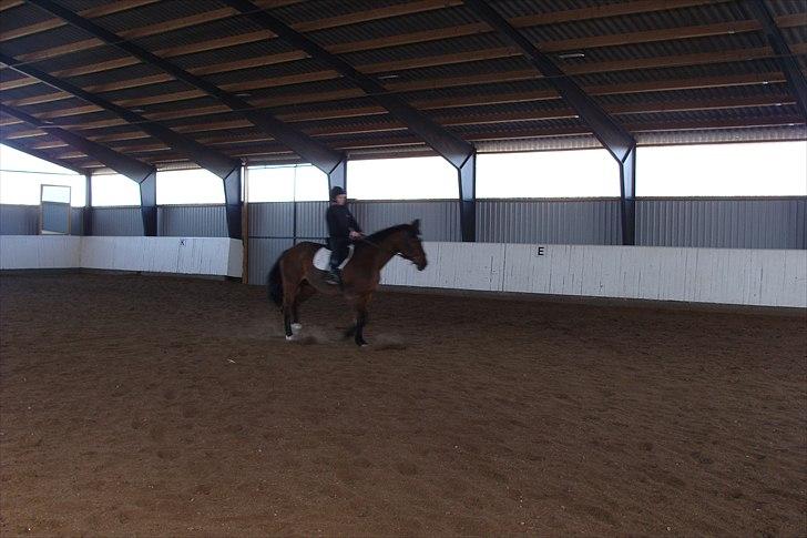 Stævne på Rankegården billede 2