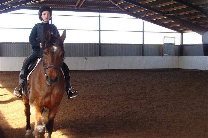 Stævne på Rankegården billede 5