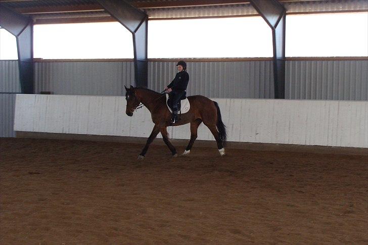 Stævne på Rankegården billede 6