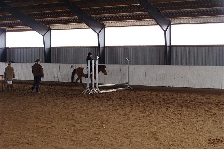 Stævne på Rankegården billede 8