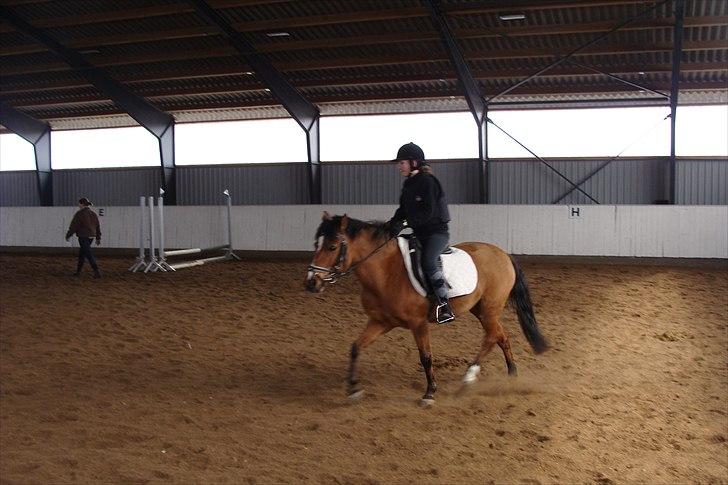 Stævne på Rankegården billede 13