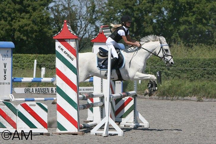 11/06 - 11 | Dragør Stor Magleby Rideklub - spring billede 2