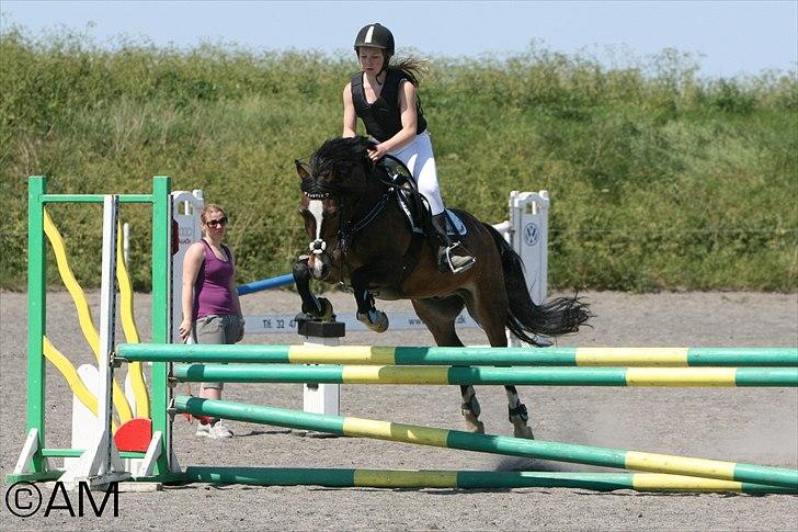 11/06 - 11 | Dragør Stor Magleby Rideklub - spring billede 1