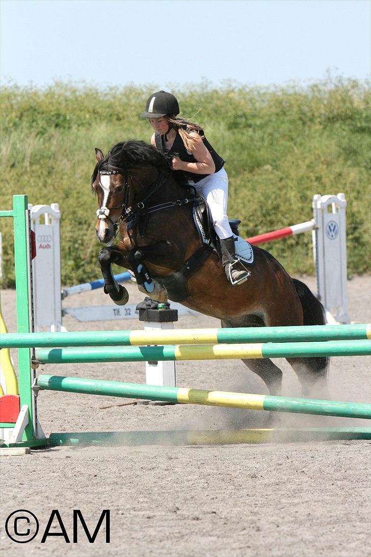 11/06 - 11 | Dragør Stor Magleby Rideklub - spring billede 4