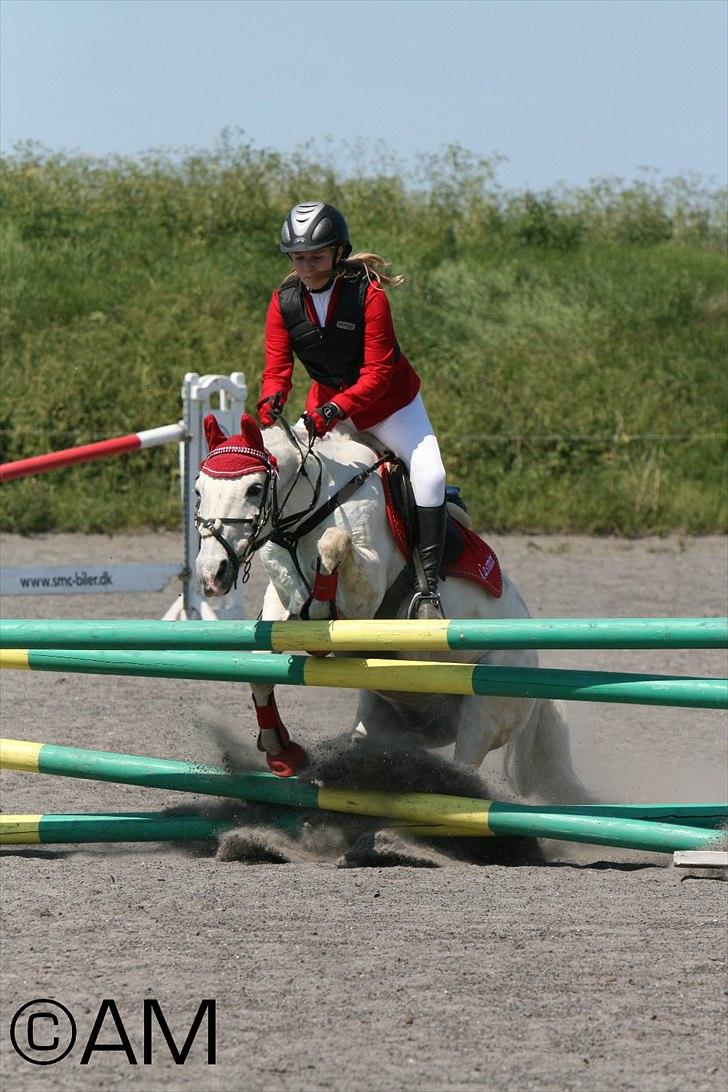 11/06 - 11 | Dragør Stor Magleby Rideklub - spring billede 5