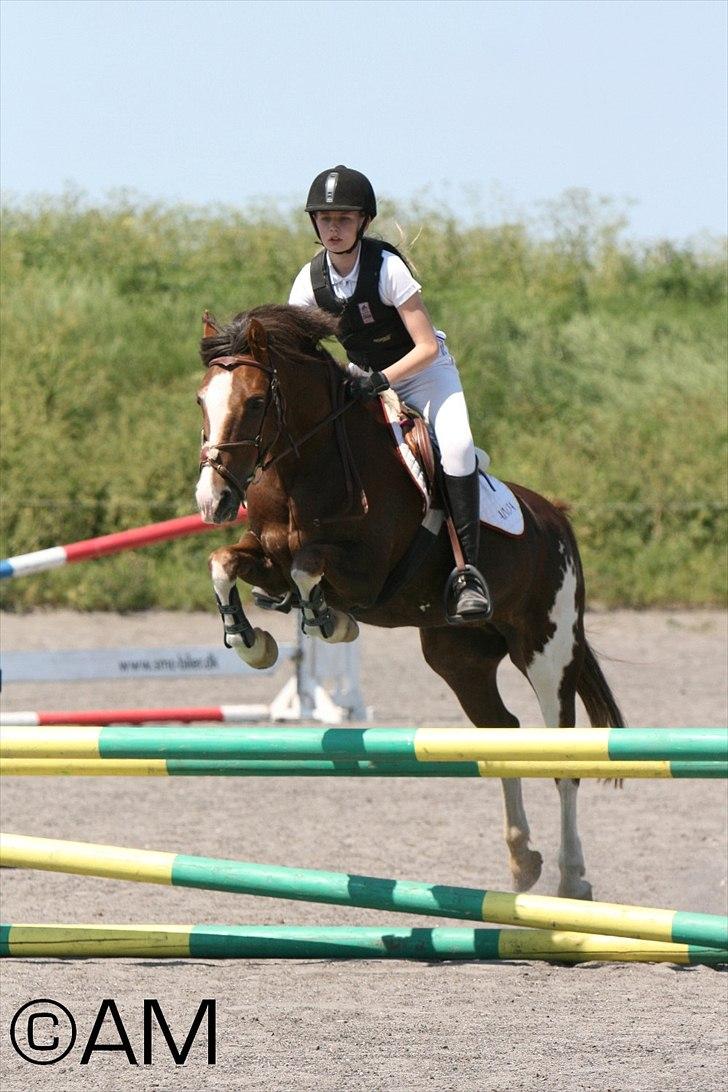 11/06 - 11 | Dragør Stor Magleby Rideklub - spring billede 6