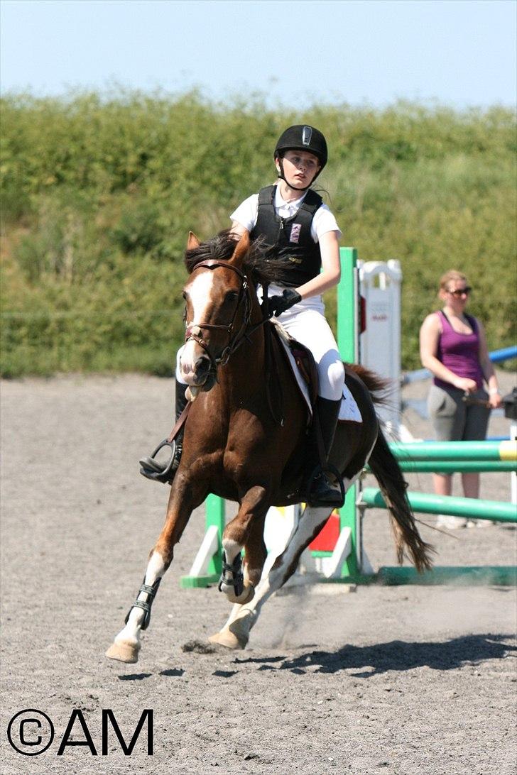 11/06 - 11 | Dragør Stor Magleby Rideklub - spring billede 7