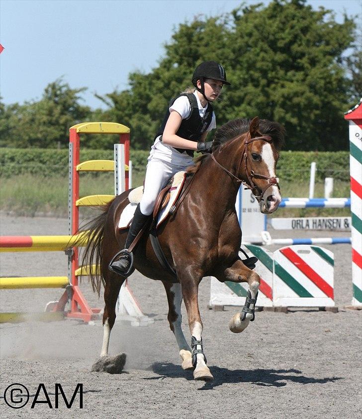 11/06 - 11 | Dragør Stor Magleby Rideklub - spring billede 9