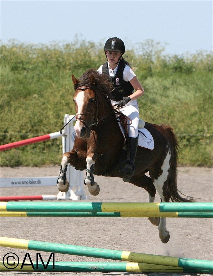 11/06 - 11 | Dragør Stor Magleby Rideklub - spring billede 10