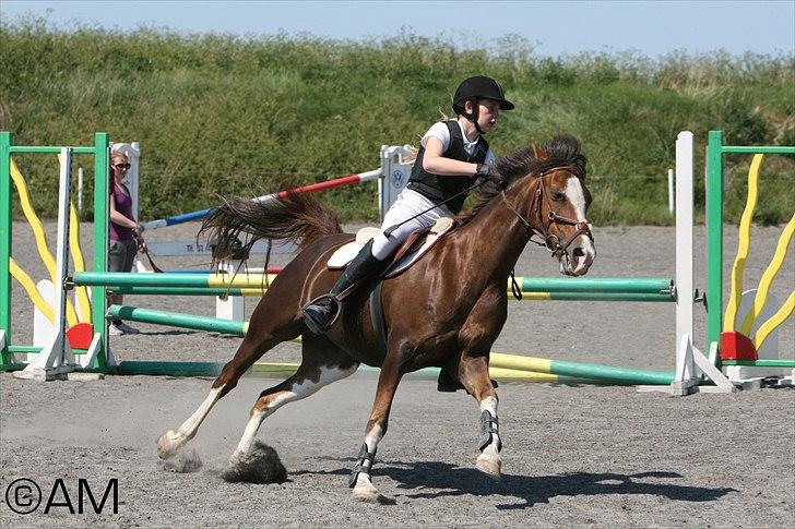 11/06 - 11 | Dragør Stor Magleby Rideklub - spring billede 11