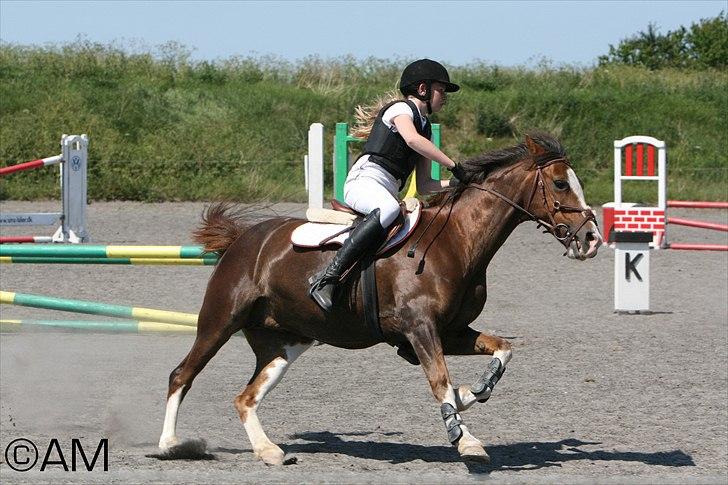 11/06 - 11 | Dragør Stor Magleby Rideklub - spring billede 12