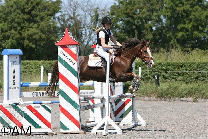 11/06 - 11 | Dragør Stor Magleby Rideklub - spring billede 13