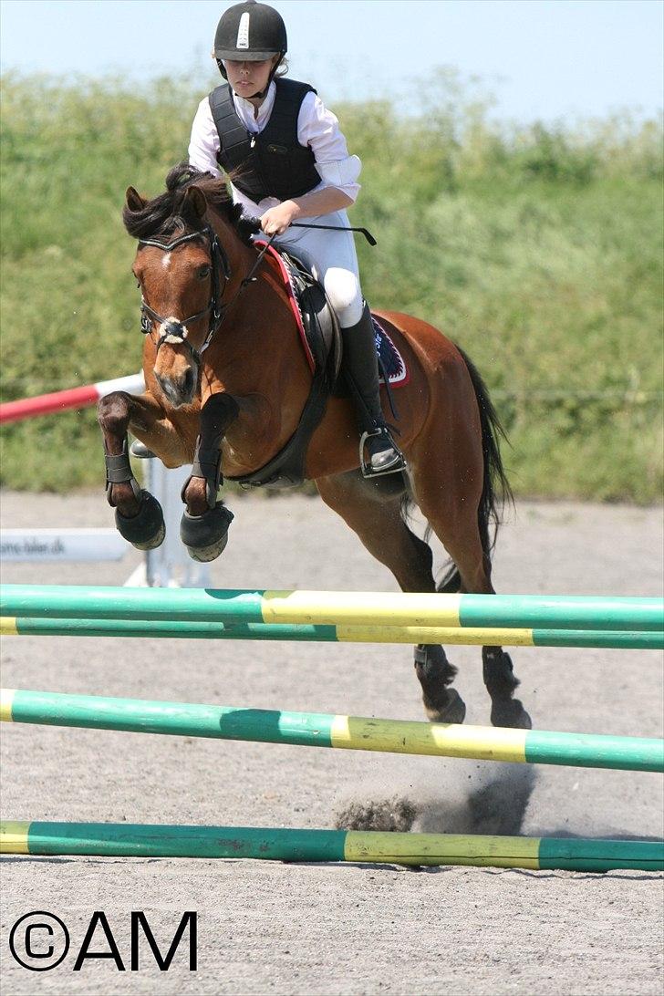 11/06 - 11 | Dragør Stor Magleby Rideklub - spring billede 14