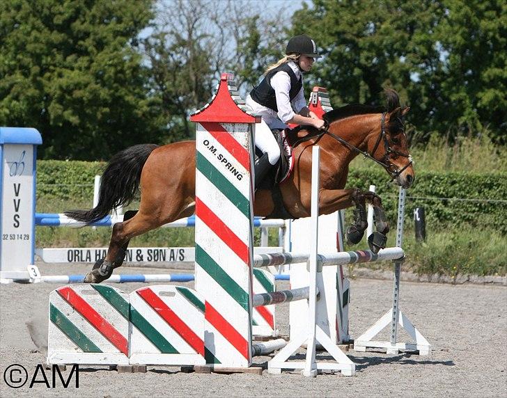 11/06 - 11 | Dragør Stor Magleby Rideklub - spring billede 15