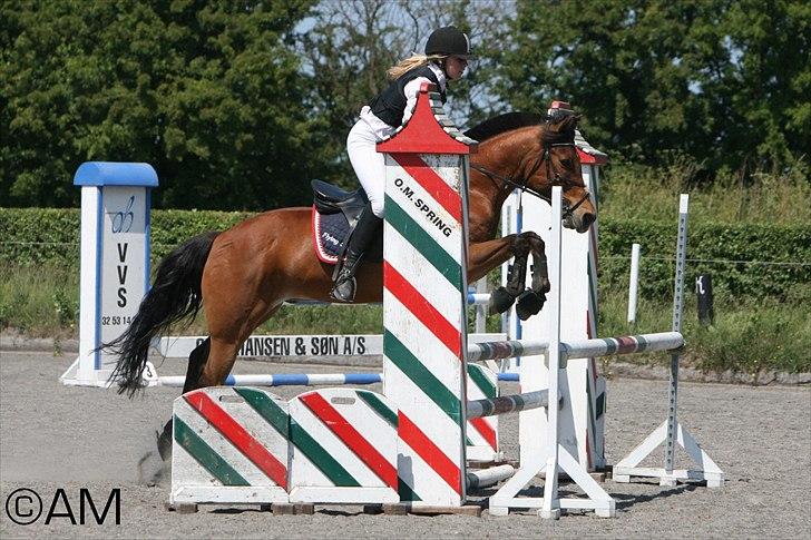 11/06 - 11 | Dragør Stor Magleby Rideklub - spring billede 16