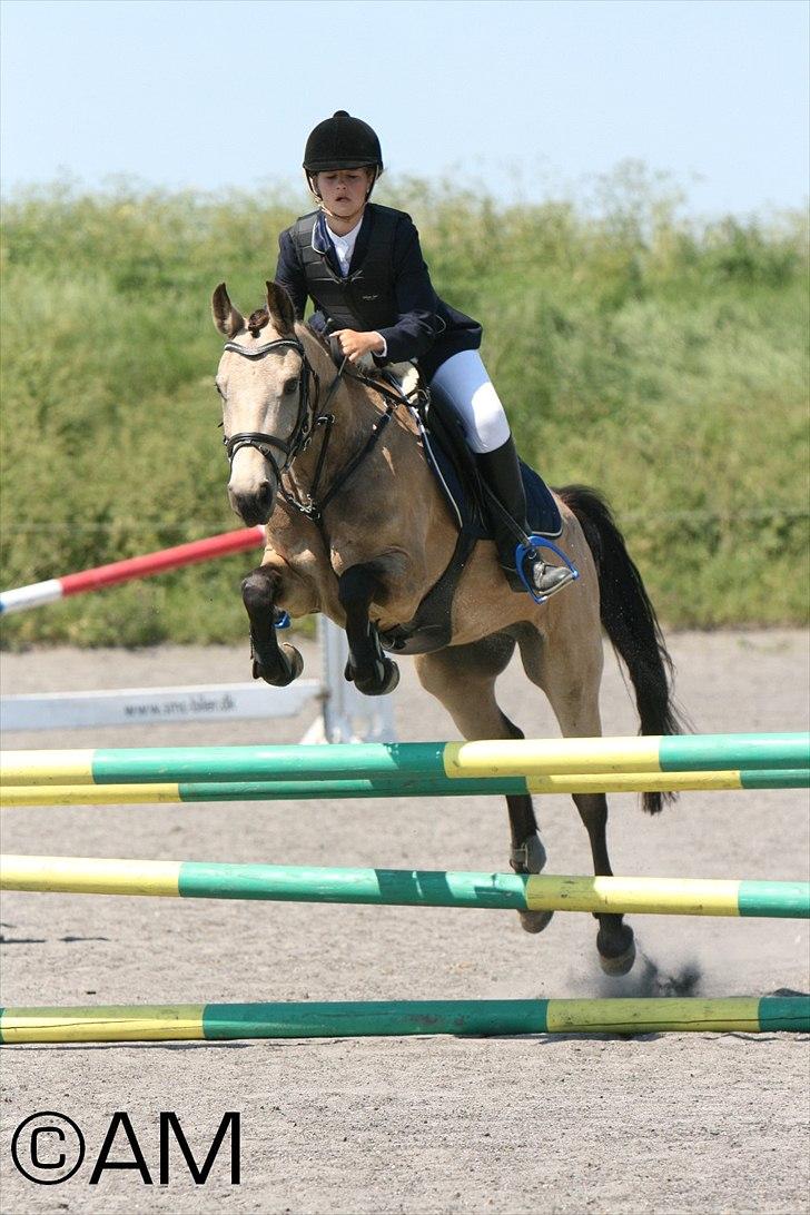 11/06 - 11 | Dragør Stor Magleby Rideklub - spring billede 18