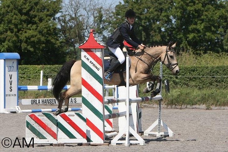 11/06 - 11 | Dragør Stor Magleby Rideklub - spring billede 19