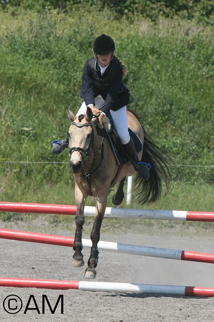 11/06 - 11 | Dragør Stor Magleby Rideklub - spring billede 20