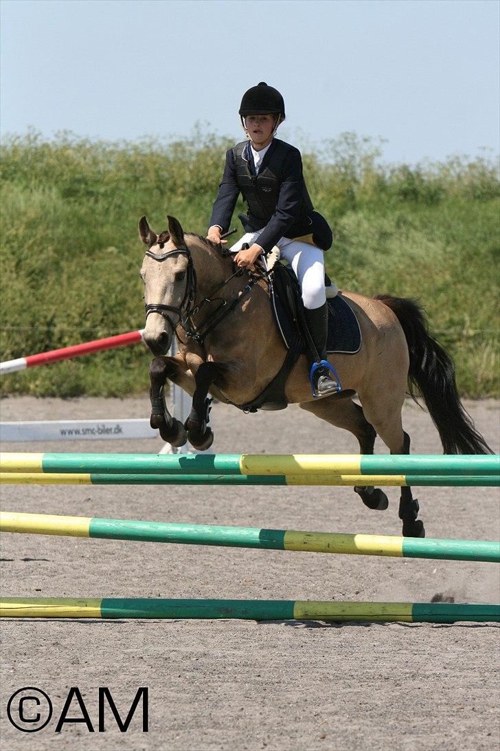 11/06 - 11 | Dragør Stor Magleby Rideklub - spring billede 21