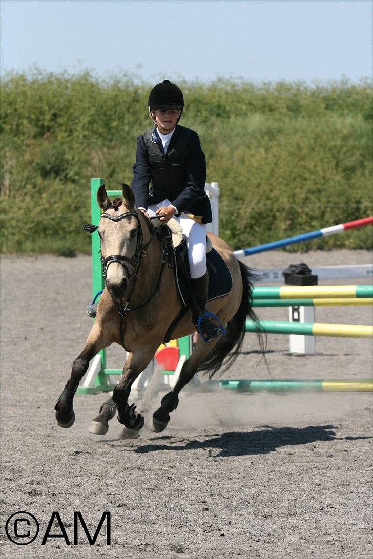 11/06 - 11 | Dragør Stor Magleby Rideklub - spring billede 22