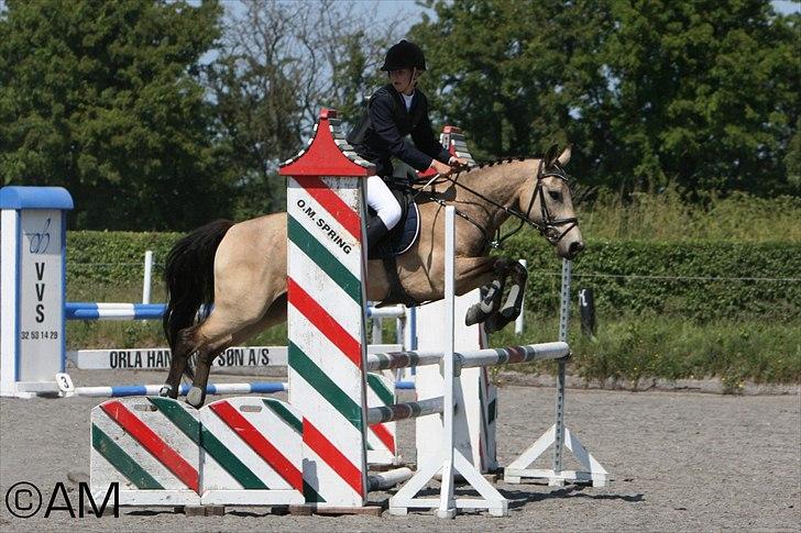 11/06 - 11 | Dragør Stor Magleby Rideklub - spring billede 23