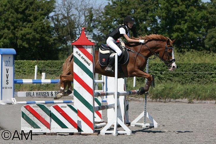 11/06 - 11 | Dragør Stor Magleby Rideklub - spring billede 24