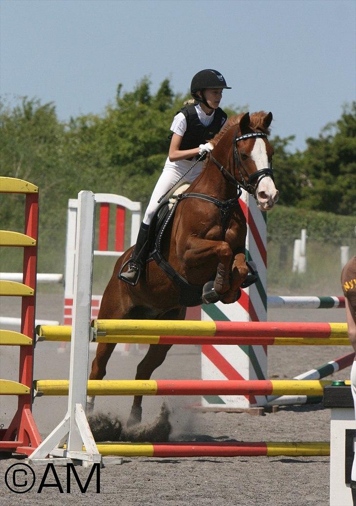 11/06 - 11 | Dragør Stor Magleby Rideklub - spring billede 25