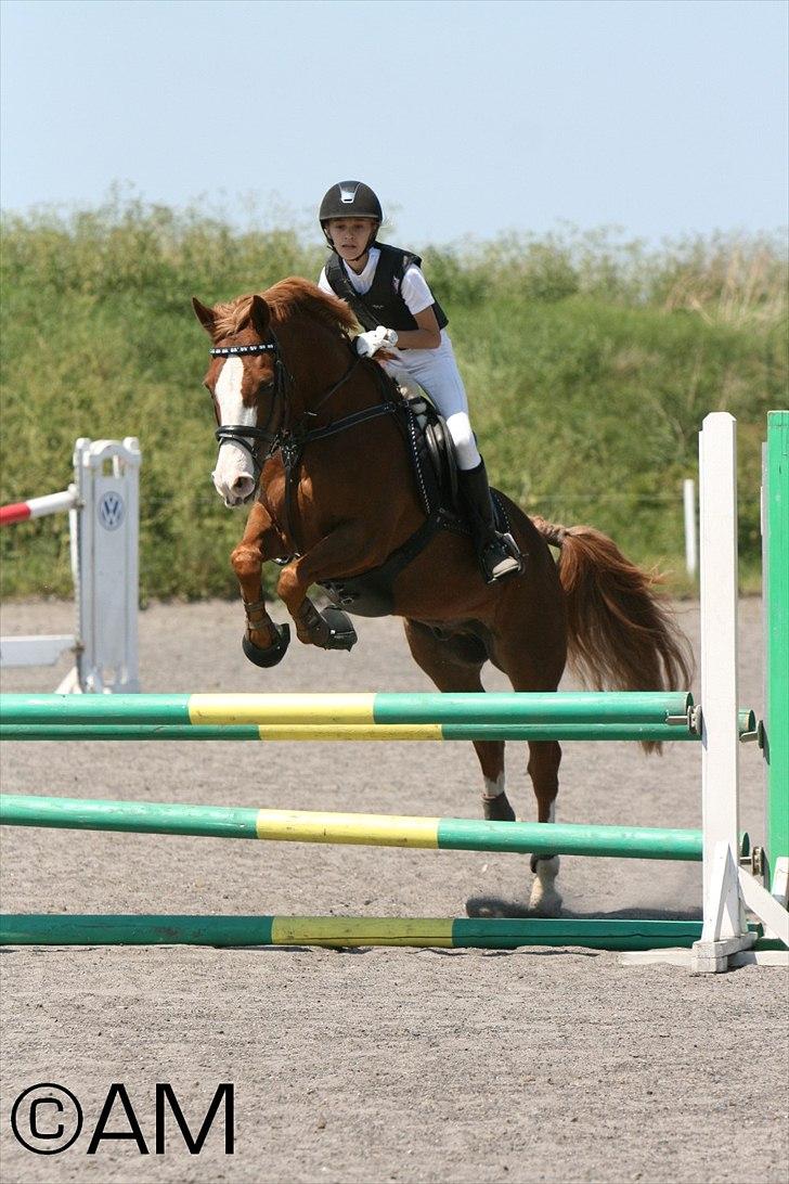 11/06 - 11 | Dragør Stor Magleby Rideklub - spring billede 26