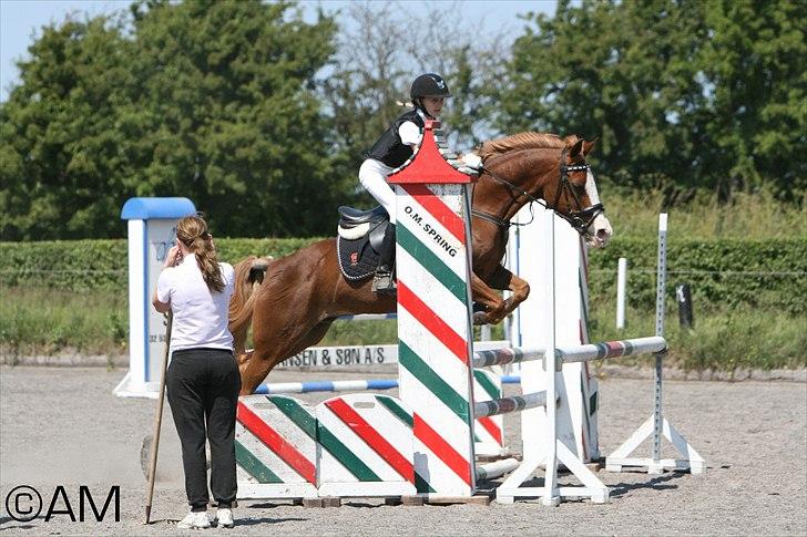 11/06 - 11 | Dragør Stor Magleby Rideklub - spring billede 27