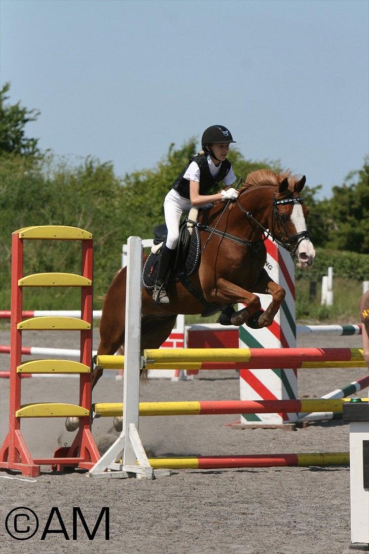 11/06 - 11 | Dragør Stor Magleby Rideklub - spring billede 28