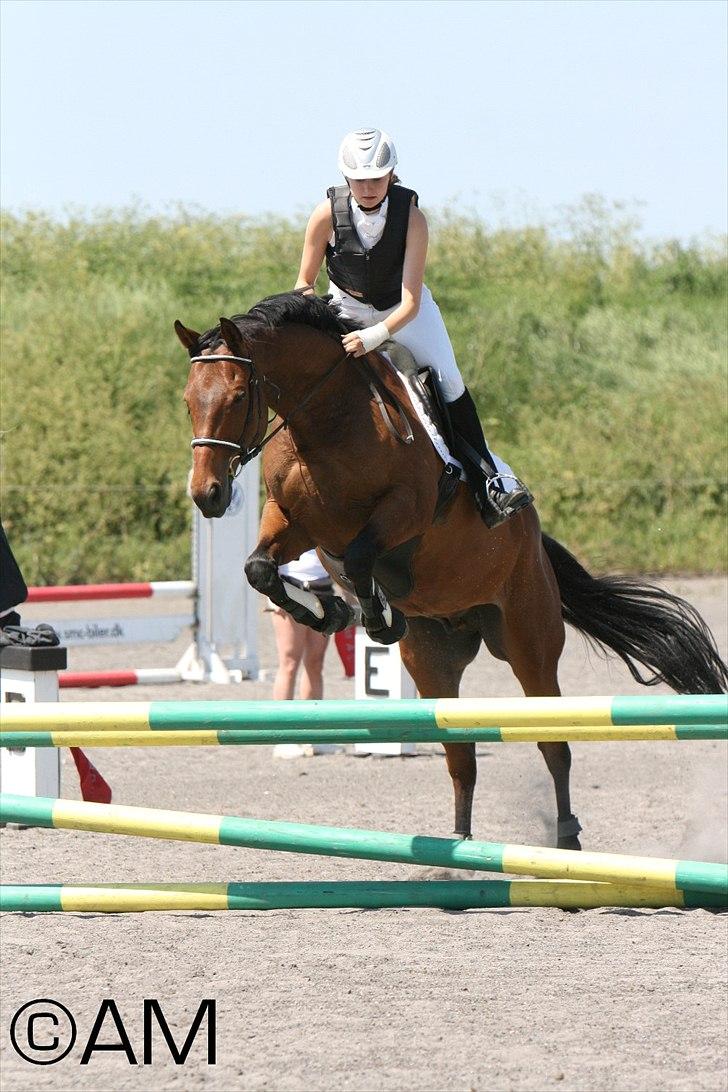 11/06 - 11 | Dragør Stor Magleby Rideklub - spring billede 29