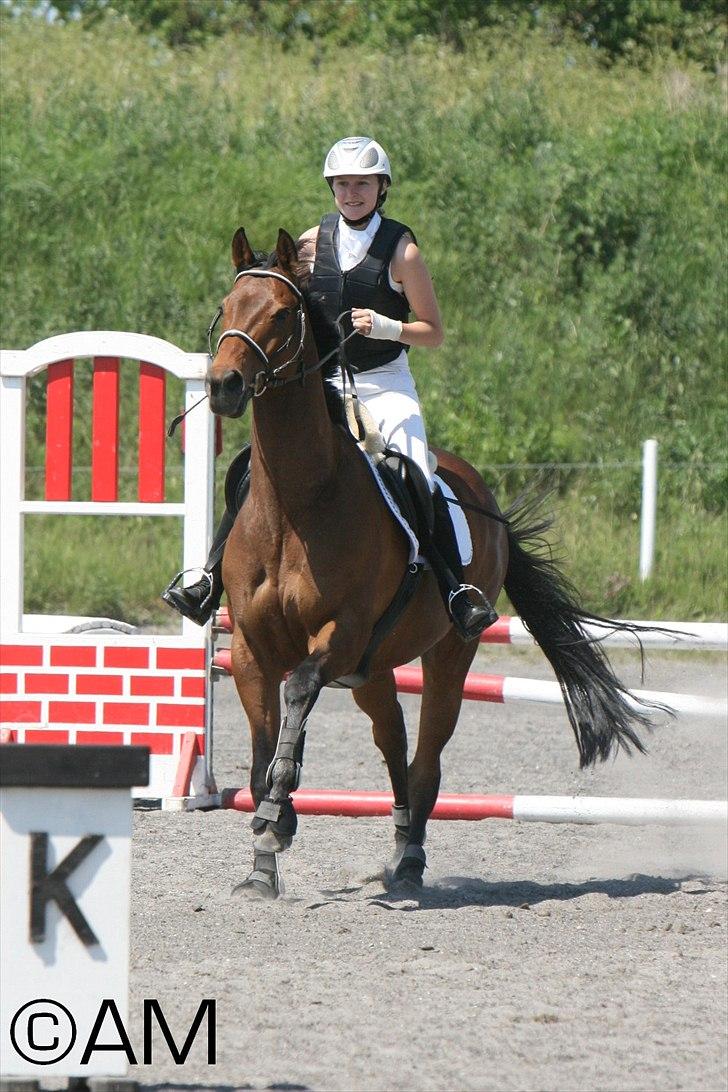 11/06 - 11 | Dragør Stor Magleby Rideklub - spring billede 30