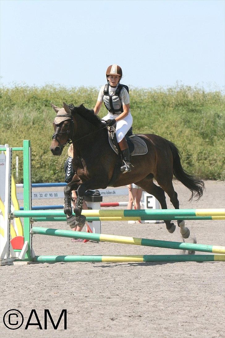 11/06 - 11 | Dragør Stor Magleby Rideklub - spring billede 32