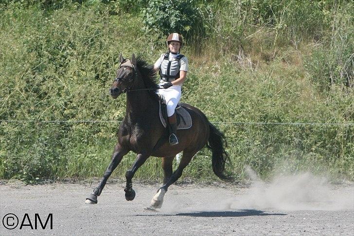 11/06 - 11 | Dragør Stor Magleby Rideklub - spring - Åh, der bliver kæmpet for kvaliteten. billede 33