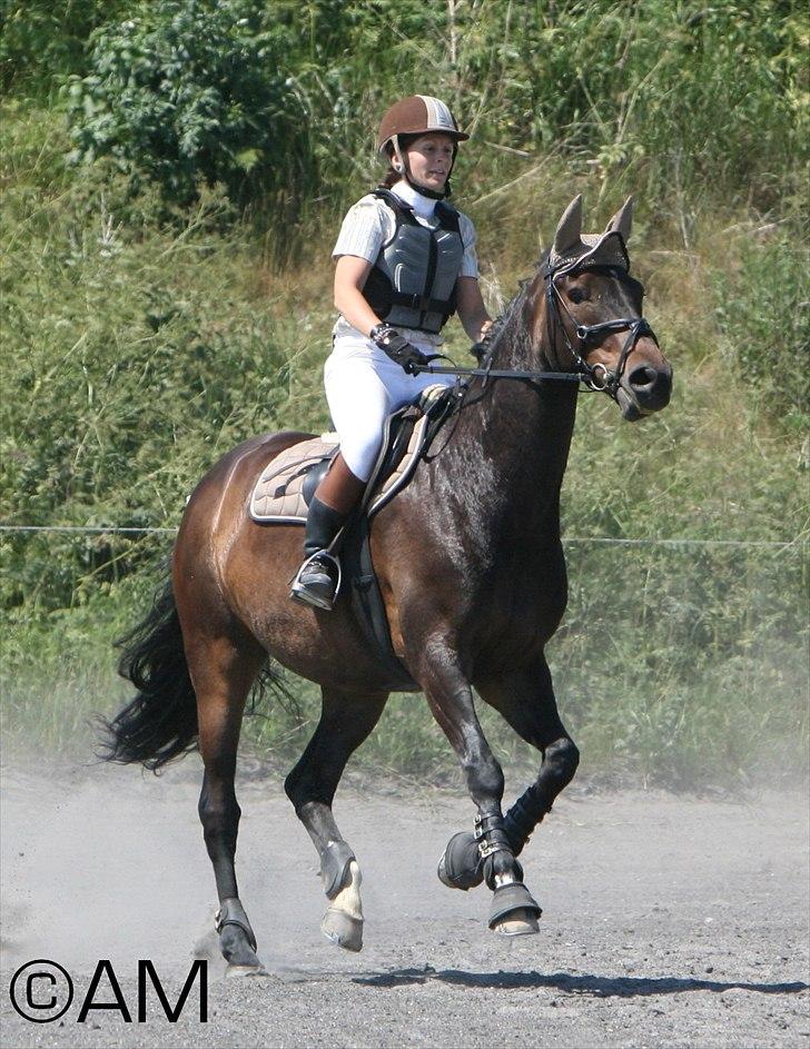 11/06 - 11 | Dragør Stor Magleby Rideklub - spring billede 34