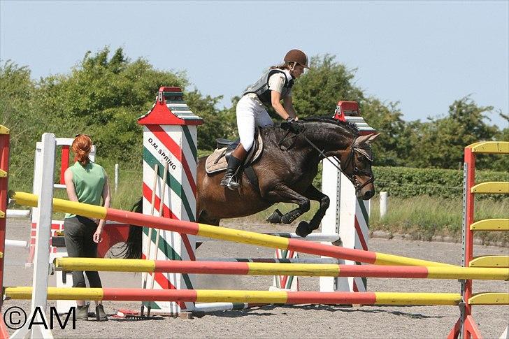 11/06 - 11 | Dragør Stor Magleby Rideklub - spring billede 35