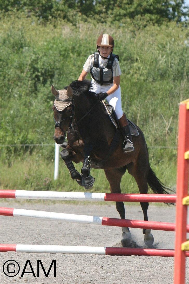 11/06 - 11 | Dragør Stor Magleby Rideklub - spring billede 36