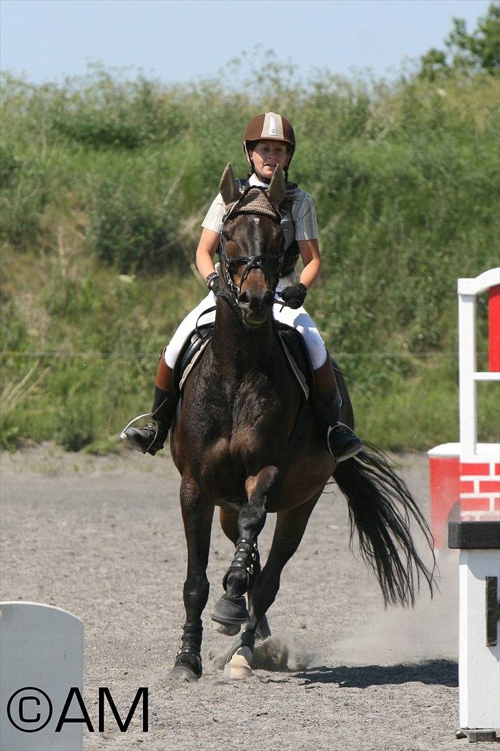 11/06 - 11 | Dragør Stor Magleby Rideklub - spring billede 37