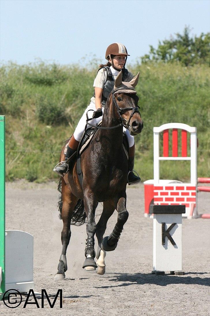 11/06 - 11 | Dragør Stor Magleby Rideklub - spring billede 38