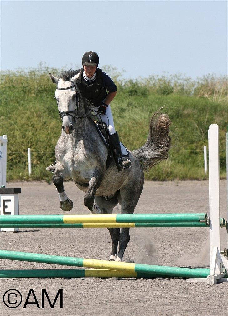 11/06 - 11 | Dragør Stor Magleby Rideklub - spring billede 40