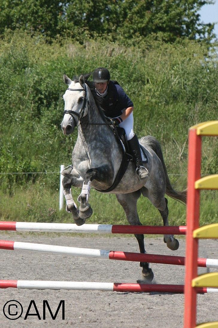 11/06 - 11 | Dragør Stor Magleby Rideklub - spring billede 41