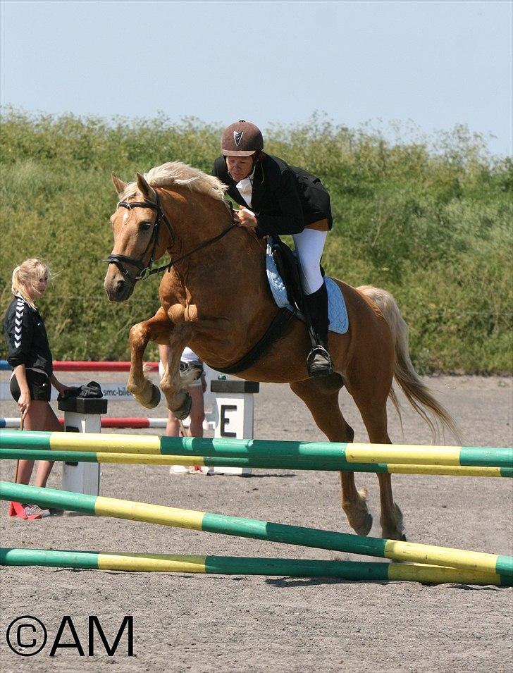 11/06 - 11 | Dragør Stor Magleby Rideklub - spring billede 42