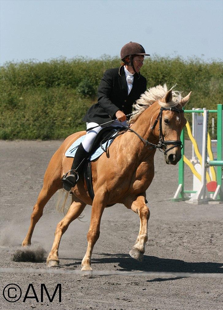 11/06 - 11 | Dragør Stor Magleby Rideklub - spring billede 43