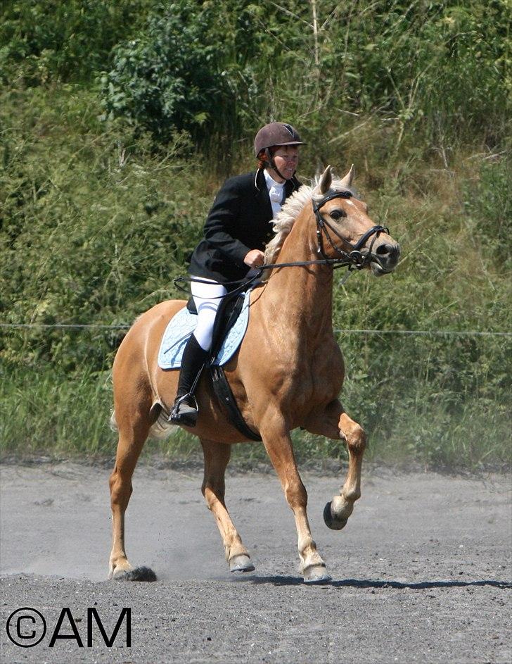 11/06 - 11 | Dragør Stor Magleby Rideklub - spring billede 44