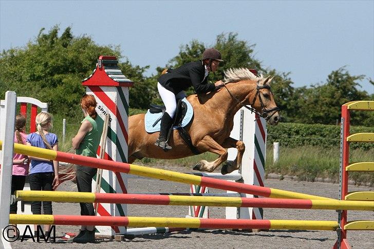 11/06 - 11 | Dragør Stor Magleby Rideklub - spring billede 45