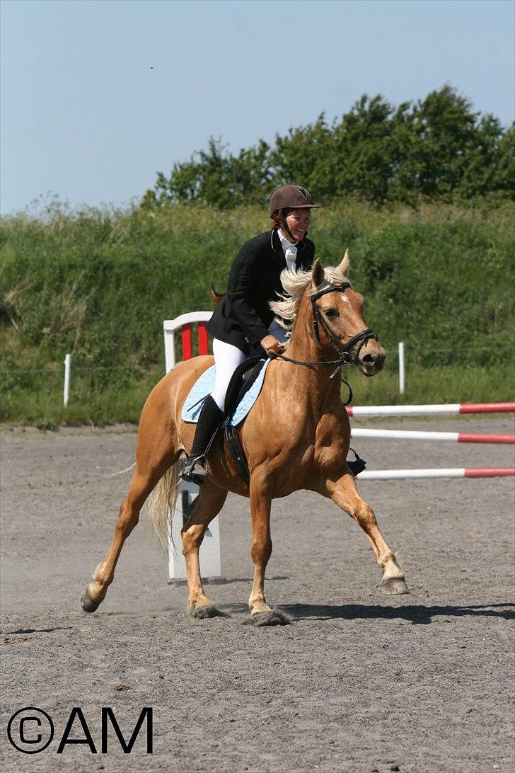 11/06 - 11 | Dragør Stor Magleby Rideklub - spring billede 46