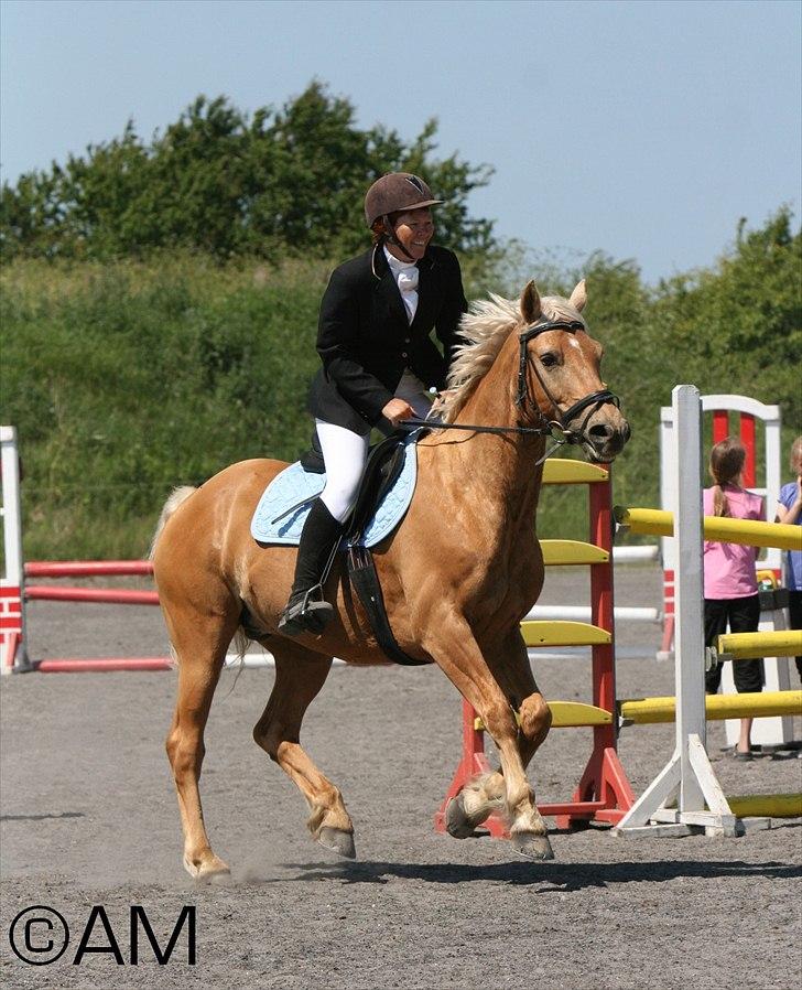 11/06 - 11 | Dragør Stor Magleby Rideklub - spring billede 47