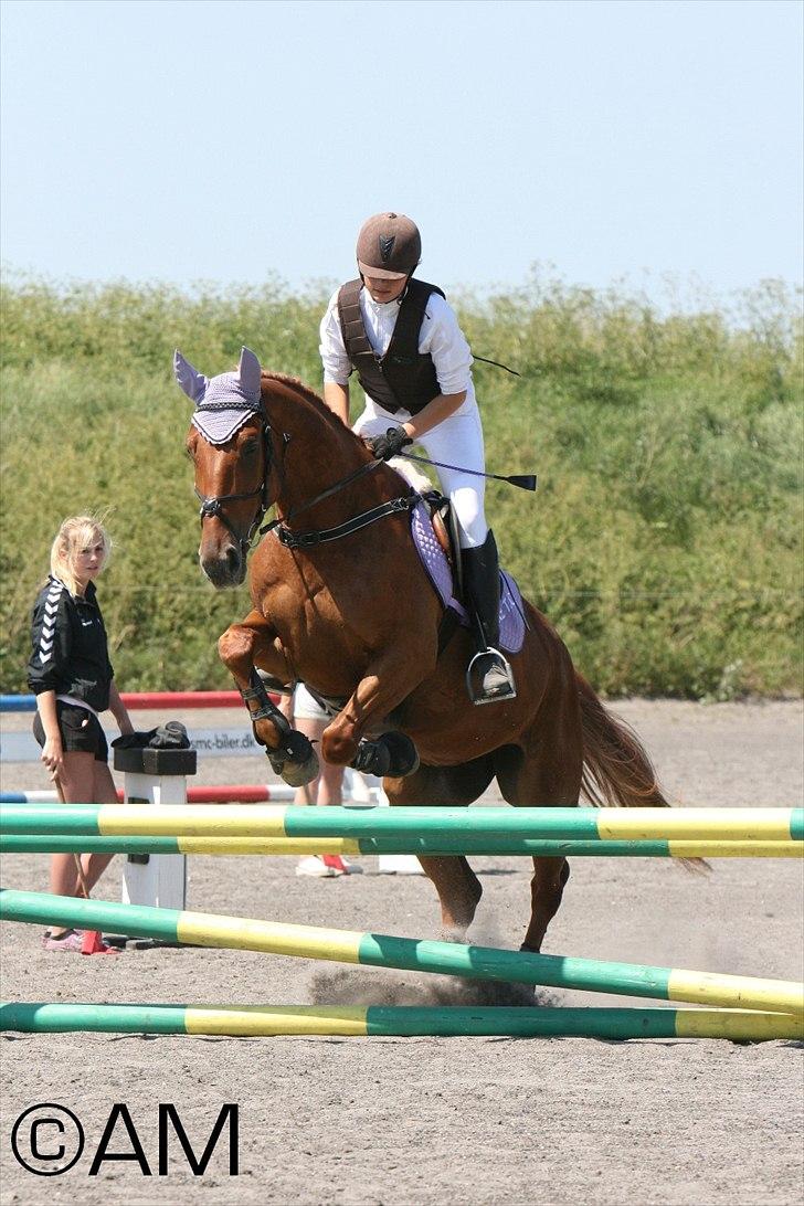 11/06 - 11 | Dragør Stor Magleby Rideklub - spring billede 48